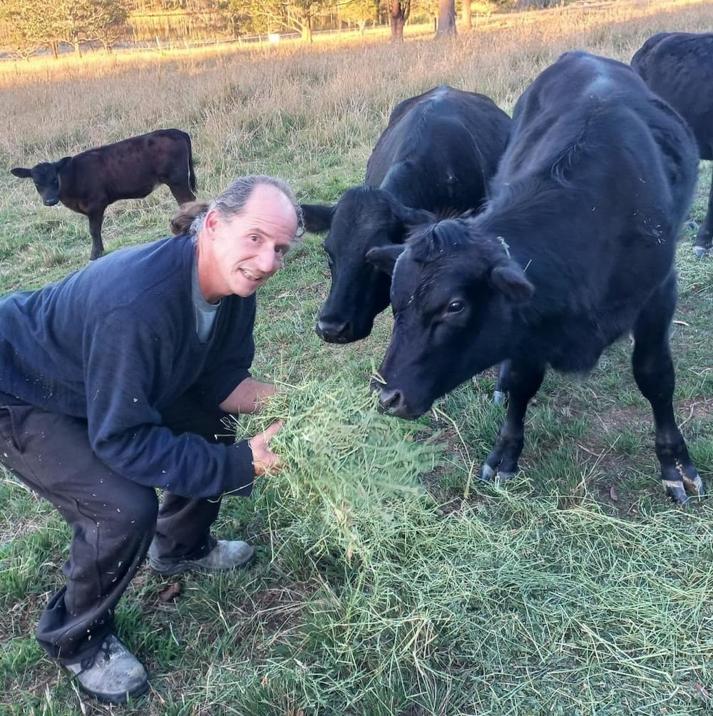 Paul Kolbe with his Cows