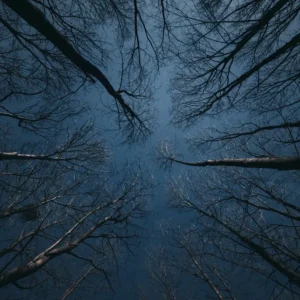 Financial Consulting